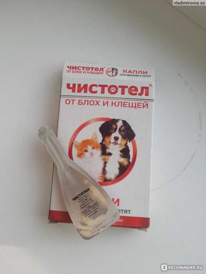Чистотел капли для кошек инструкция и отзывы