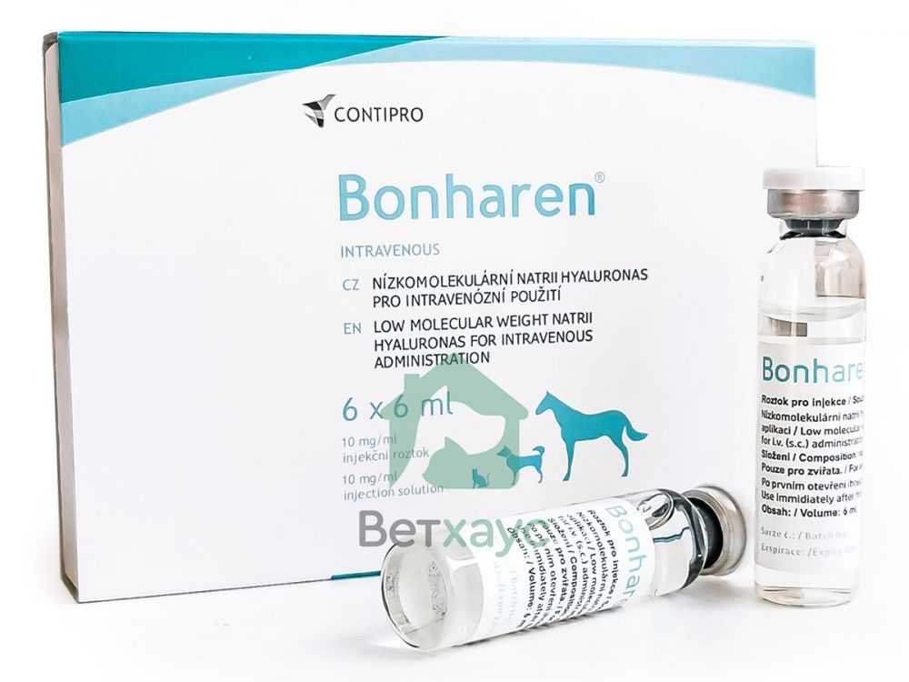Бонхарен для собак – лекарство от артроза