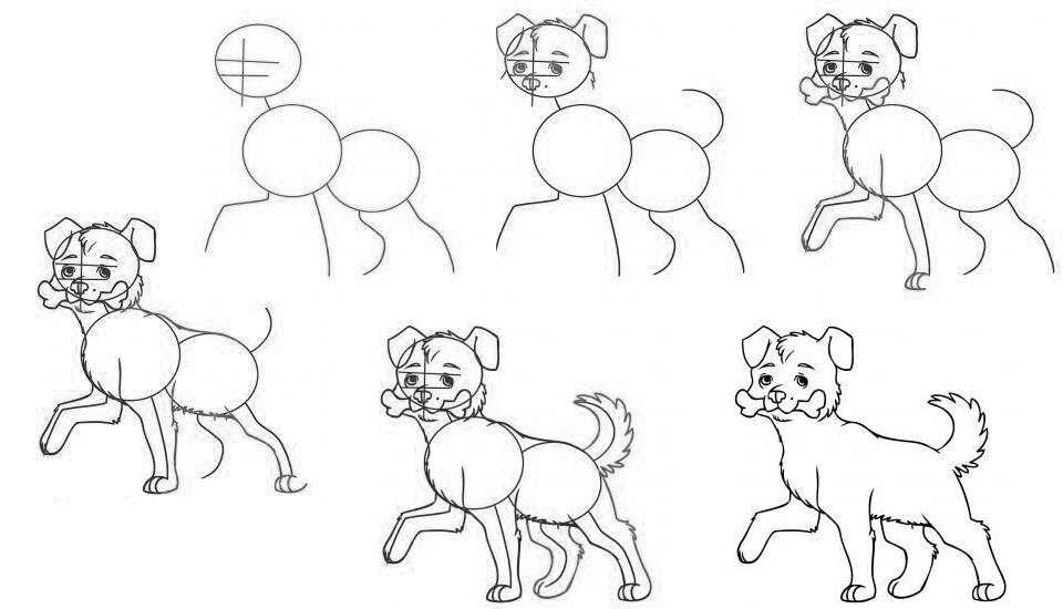 Как нарисовать собаку поэтапно карандашом и не только, инструкции для детей с фото: как изобразить хаски, овчарку и других + схемы и видео