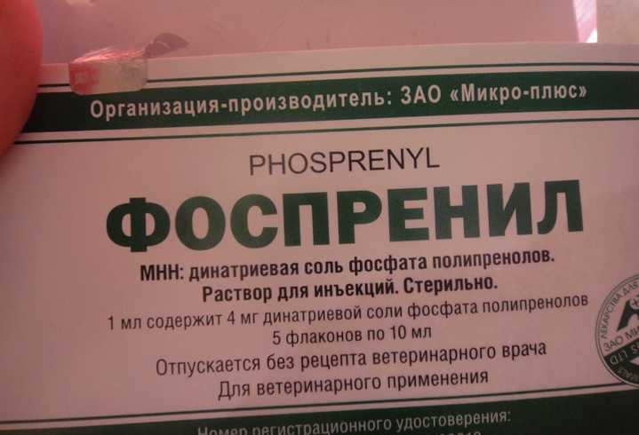 Краткая инструкция по применению препарата фоспренил