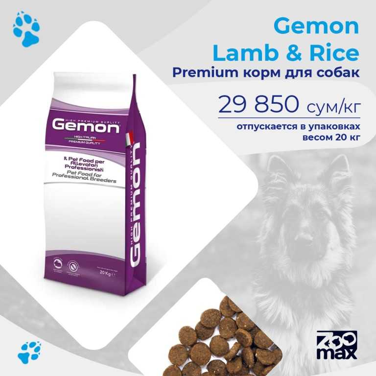 Gemon корм для собак: 105 фото, отзывы и обзор состава корма для собак