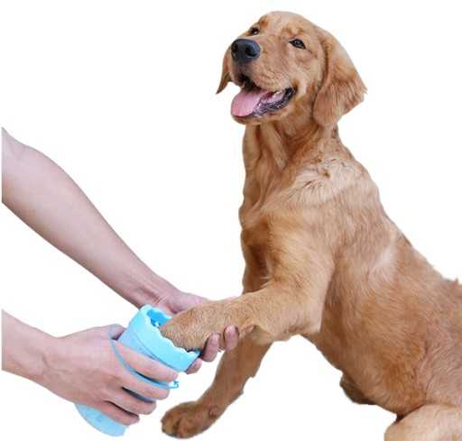 Лапомойка для собак: выбор (5 моделей), как сделать своими руками