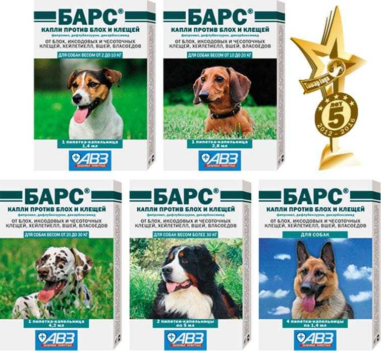 Капли барс для собак: инструкция по применению, цена, отзывы
