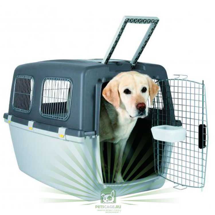 Переноски для собак в самолет - для мелких и средних пород с размерами и описанием