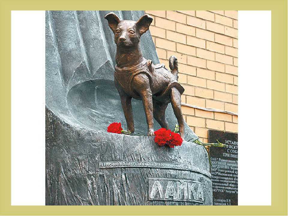 Собачья работа: знаменитые бронзовые «охранники» москвы