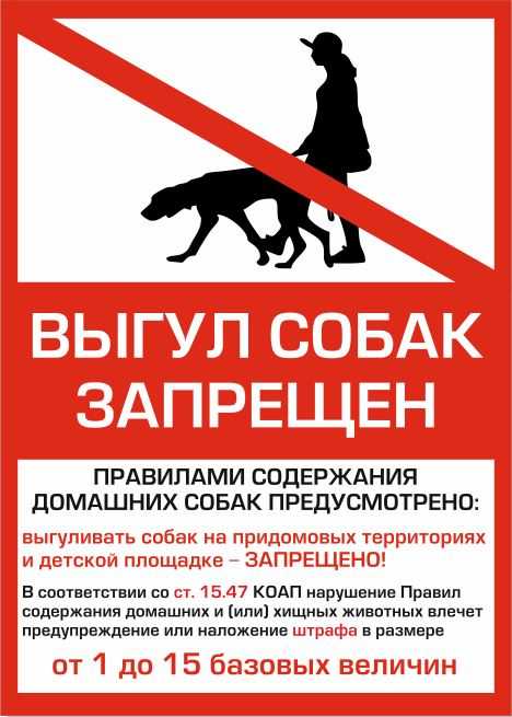 Как изменились правила выгула собак с 1 января 2020 г.