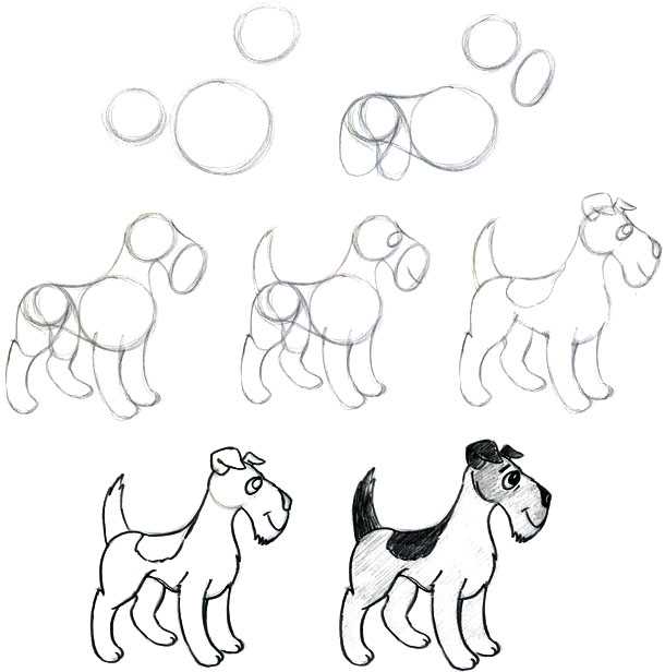 Как нарисовать собаку поэтапно карандашом и не только, инструкции для детей с фото: как изобразить хаски, овчарку и других + схемы и видео