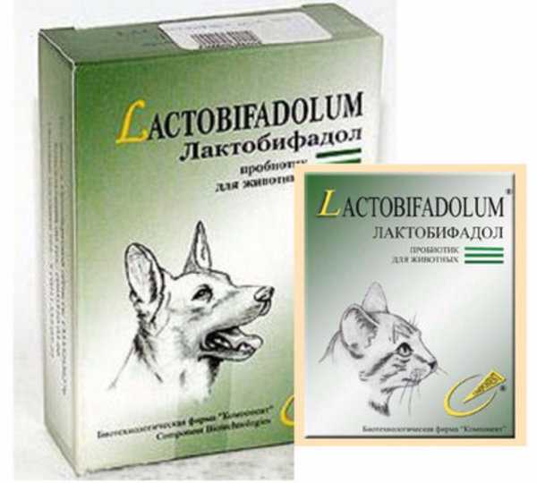 Лактобифадол для собак: инструкция и показания к применению, цена, отзывы