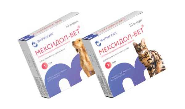 Мексидол для кошек применяется для лечения нарушений кровообращения в головном мозге. Препарат Мексидол-Вет применяется в ветеринарии очень часто при подготовке животного к операции и после неё, чтобы состояние наркоза не спровоцировало осложнений.