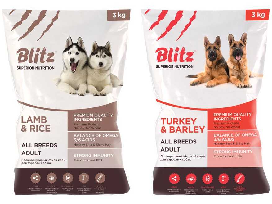 Обзор и рейтинг кормов для собак blitz, состав сухого корма и отзывы о «блиц», чем отличаются эти сухие корма для собак