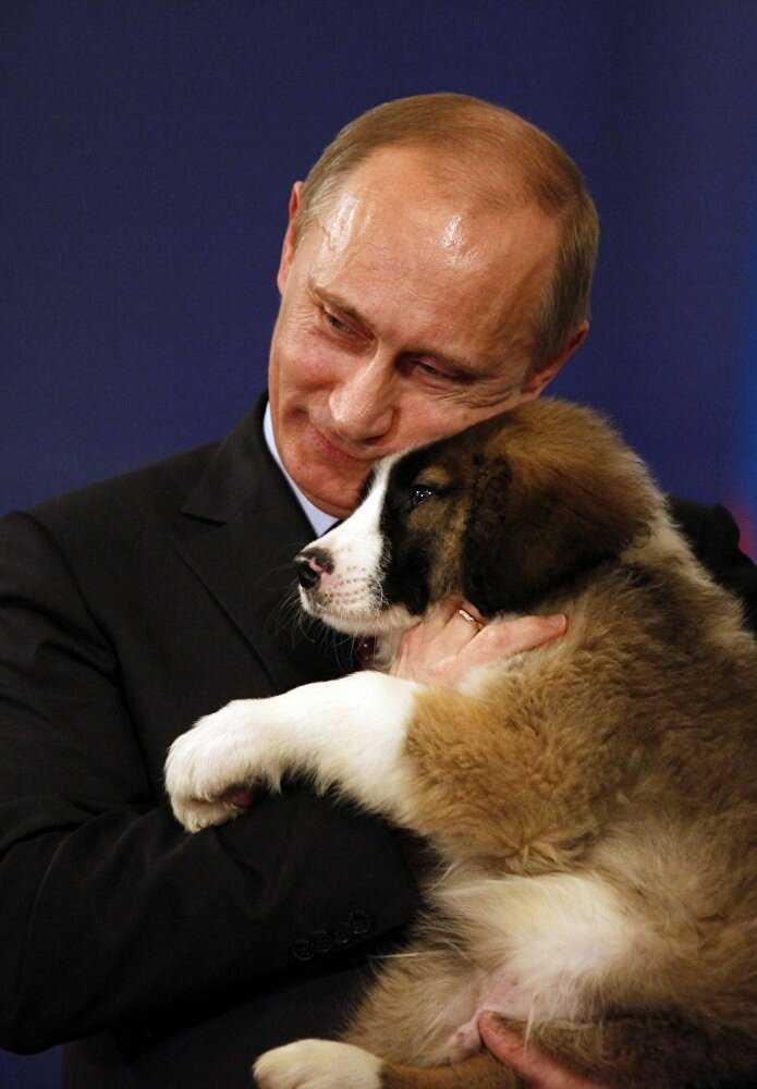 Собаки российских звезд: подборка фото