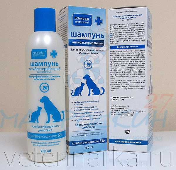 Шампунь для собак: с хлоргексидином, доктор, perfect coat, сухой, гипоаллергенный, какой выбрать - kotiko.ru