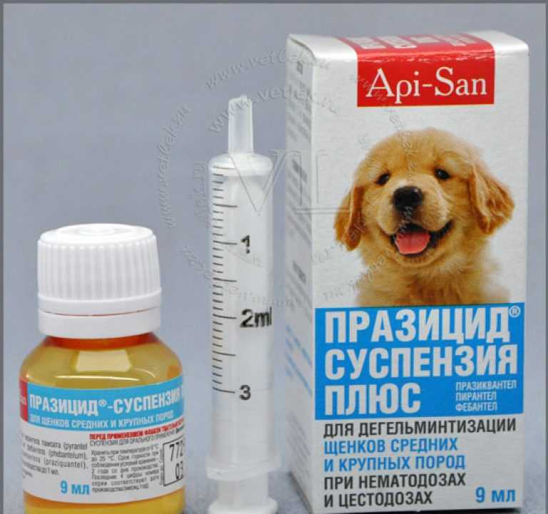 Собаке от глистов как часто. Празицид суспензия для щенков средних пород. Празицид суспензия плюс для собак 10мл. Противоглистные препараты для щенят суспензия. Празицид суспензия для собак крупных пород.