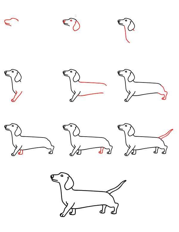 Как нарисовать собаку - символ нового года 2018 - поэтапно карандашом и красками легко и красиво по клеточкам, для детей и начинающих