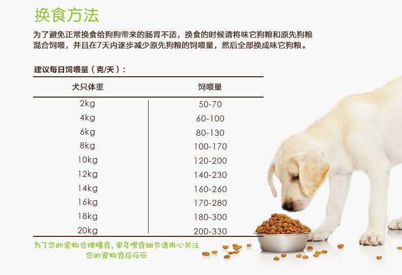 Как и чем кормить собаку: виды и особенности питания