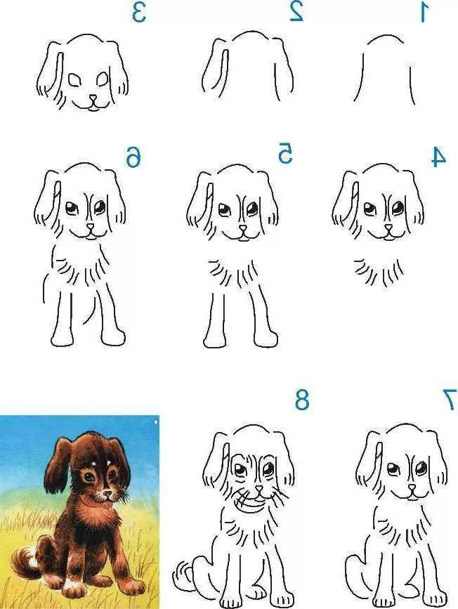 Как нарисовать собаку ребенку карандашом поэтапно