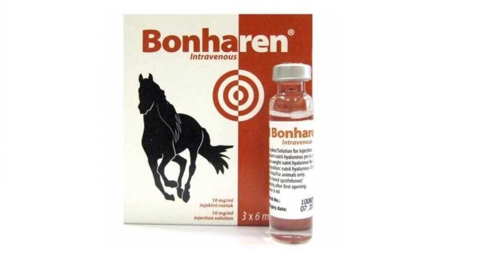 Бонхарен как решение при болезнях суставов у животных