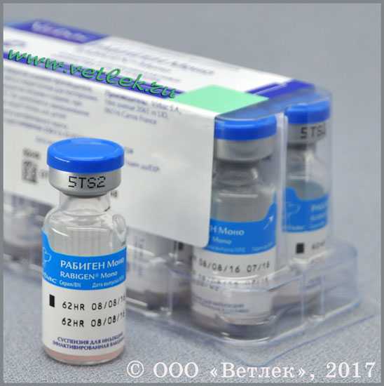 Вакцина каниген для собак: инструкция и показания к применению, отзывы, цена