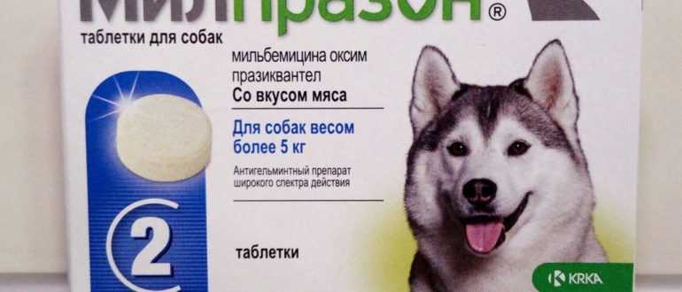 Милпразон для щенков и мелких собак, таблетки