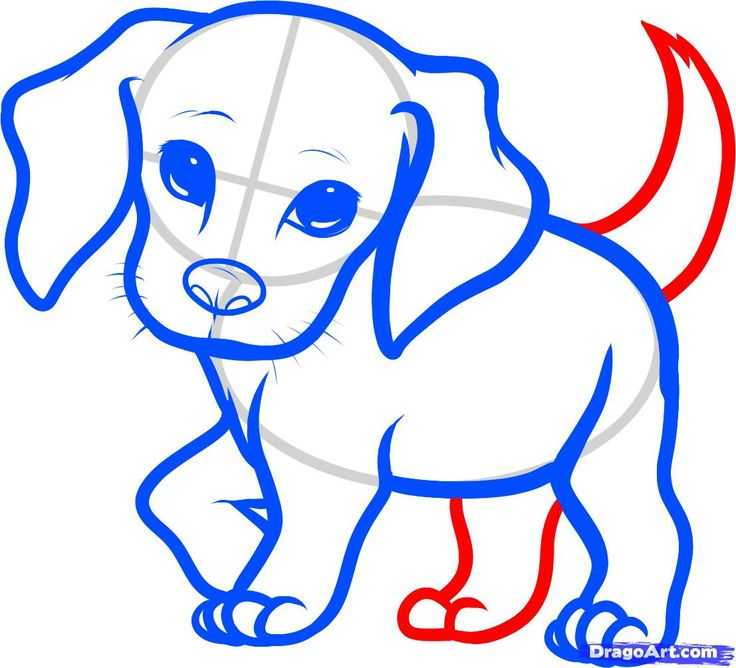 Как нарисовать собаку - поэтапное создание рисунка собаки для детей и взрослых (130 фото)