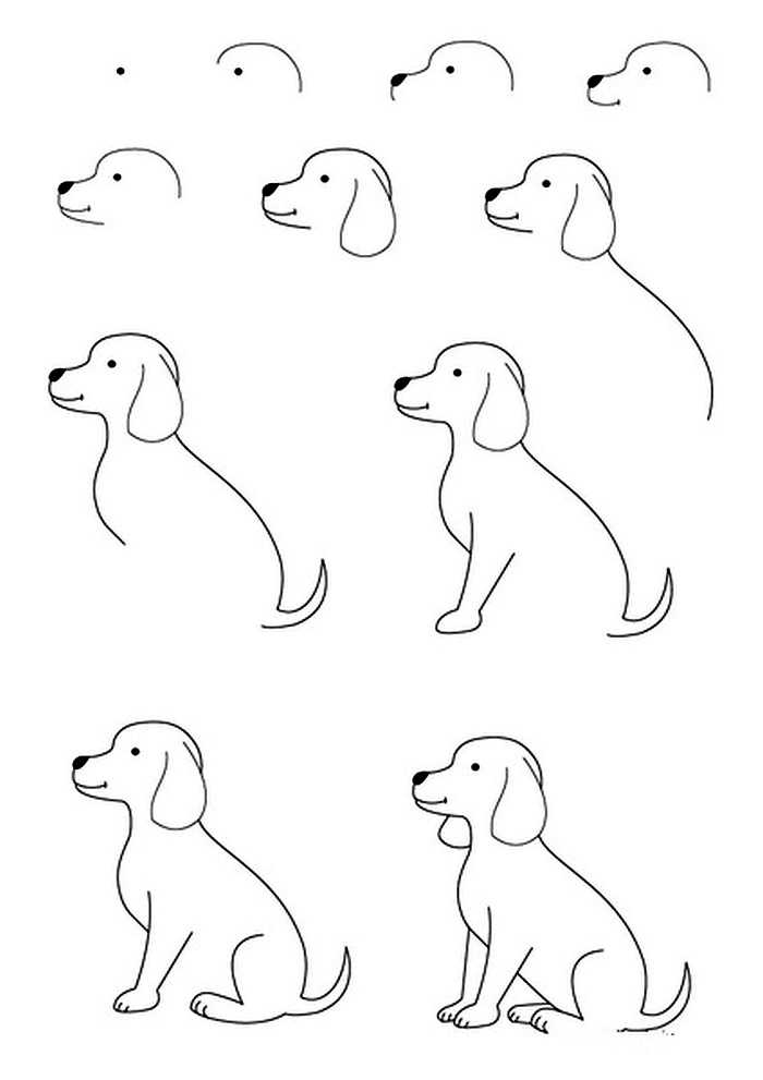 Как нарисовать собаку поэтапно | рисунок карандашом, для детей