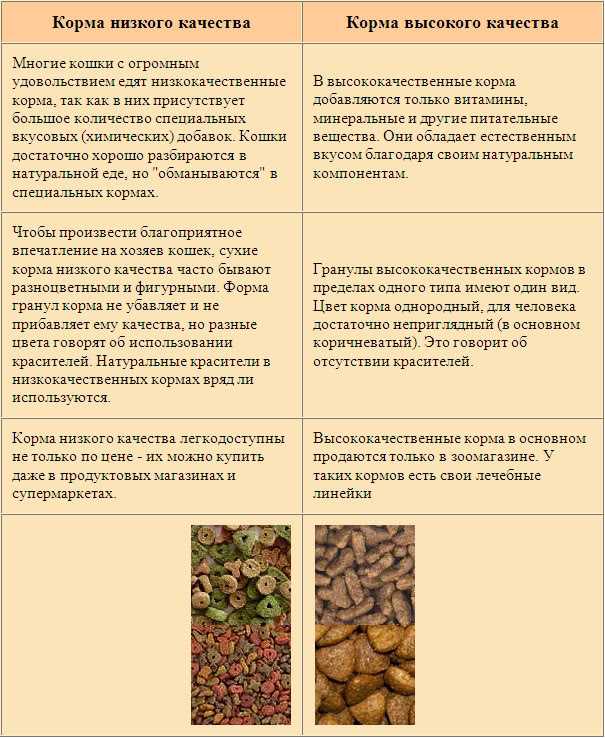 10 правил сбалансированного питания - здоровая россия