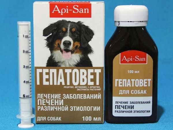 Интерспектин-l для собак: инструкция по применению при опасных для жизни собаки инфекциях