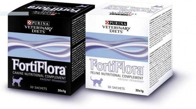 Пребиотик фортифлора purina fortiflora для кошек и собак инструкция по применению
пробиотика фортифлора purina fortiflora  в ветеринарии состав лекарства дозировка отзывы