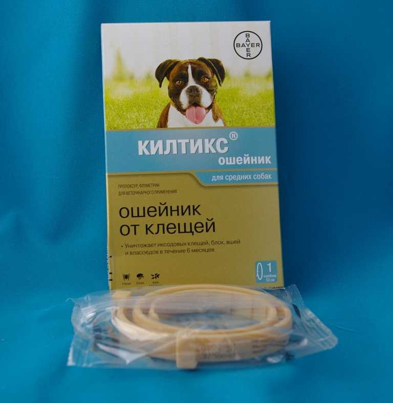 Килтикс: ошейник от клещей для собак | отзывы, цена, инструкция