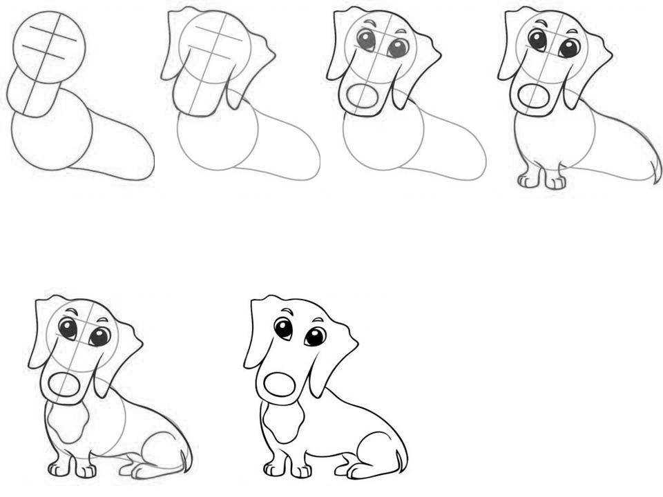 Как нарисовать собаку карандашом поэтапно для начинающих  легко и просто