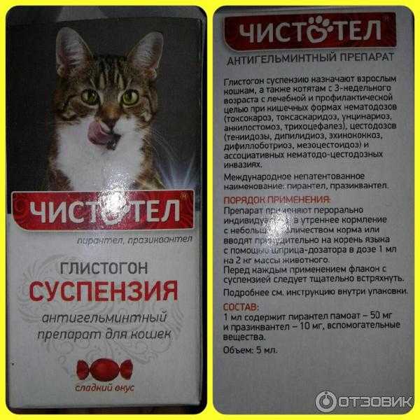 Капли чистотел для кошек: инструкция и показания к применению, отзывы, цена