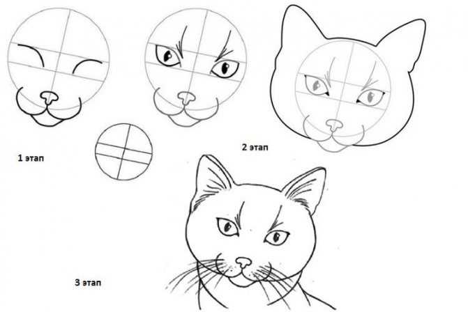 Пошаговые рекомендации как нарисовать кошку карандашом: простые эскизы мультяшных кошек для начинающих, реалистичный портрет домашнего питомца