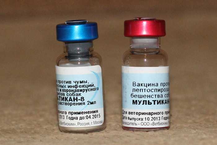 Вакцина для собак мультикан (4, 6, 8) : инструкция по применению, отзывы