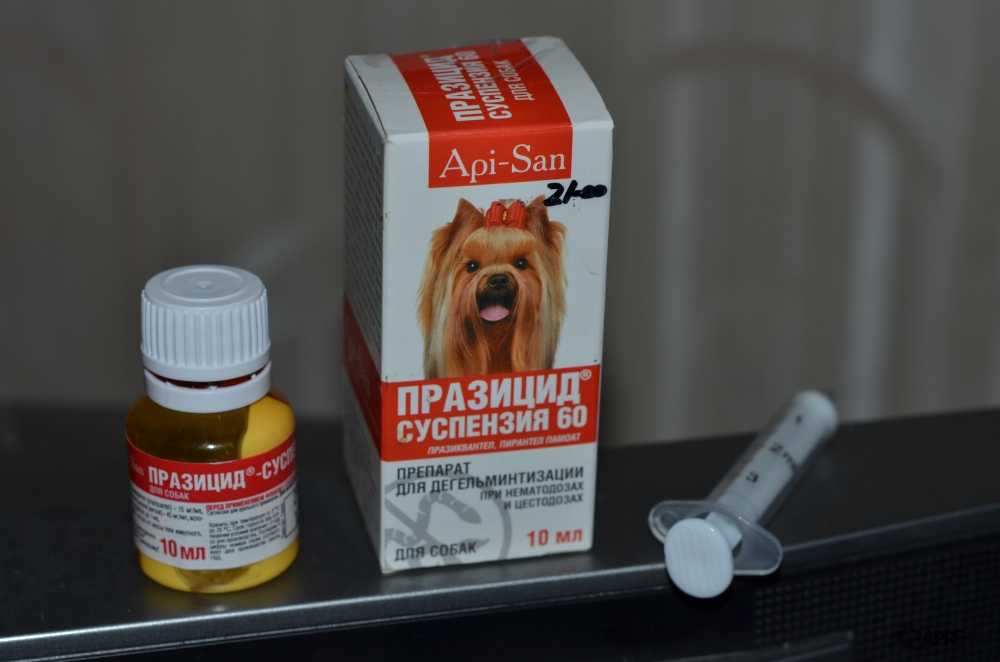 Глисты у щенков: что делать? лекарство от глистов щенкам - таблетки, суспензия, капли | нвп «астрафарм»