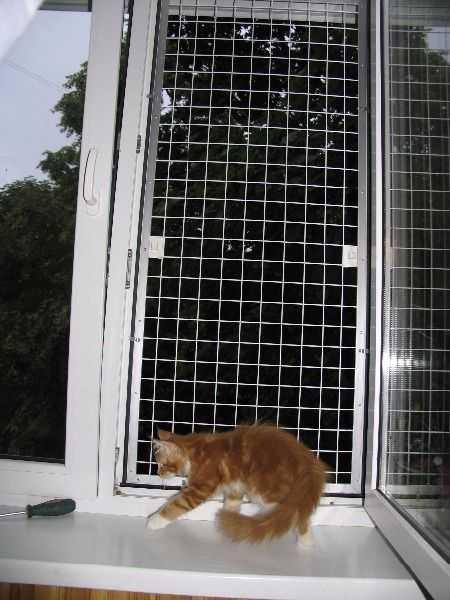 Купить сетку на окна для кошек. Сетка антикошка на пластиковые окна. Решетка антикошка на пластиковые. Забор антикошка. Коврик антикошка.