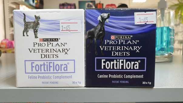Фортифлора для собак: инструкция по применению, состав и рекомендации к приему