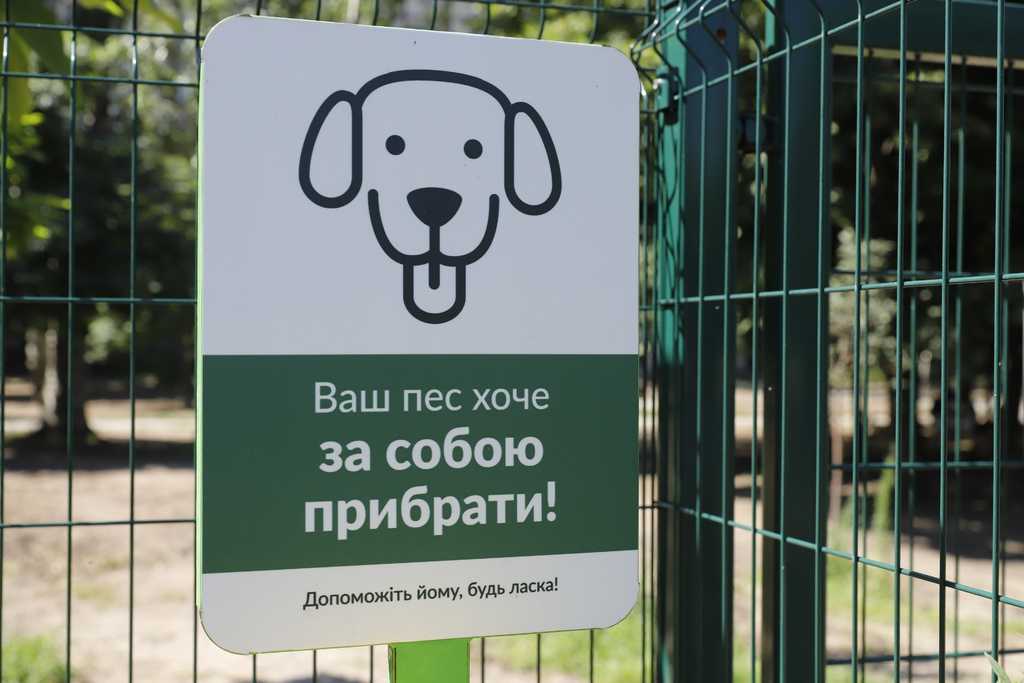 Закон о выгуле собак, что нужно знать о запретах и штрафах