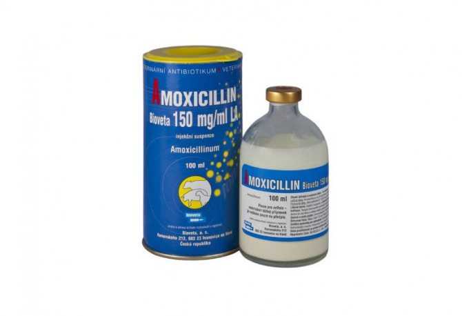 Амоксициллин (amoxicillin)