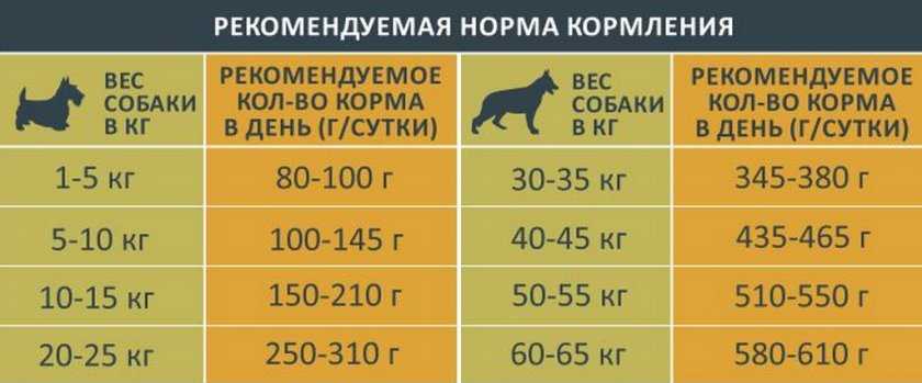 Как рассчитать рацион кормления собаки – калькулятор питания в таблице, расчёт нормы скармливания для собак
