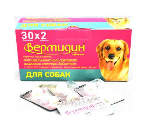 Вермидин для собак: инструкция по применению противоглистного препарата, особенности и отзывы