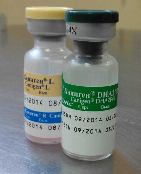 Вакцина каниген dha2ppi/l: инструкция по применению - вет-препараты