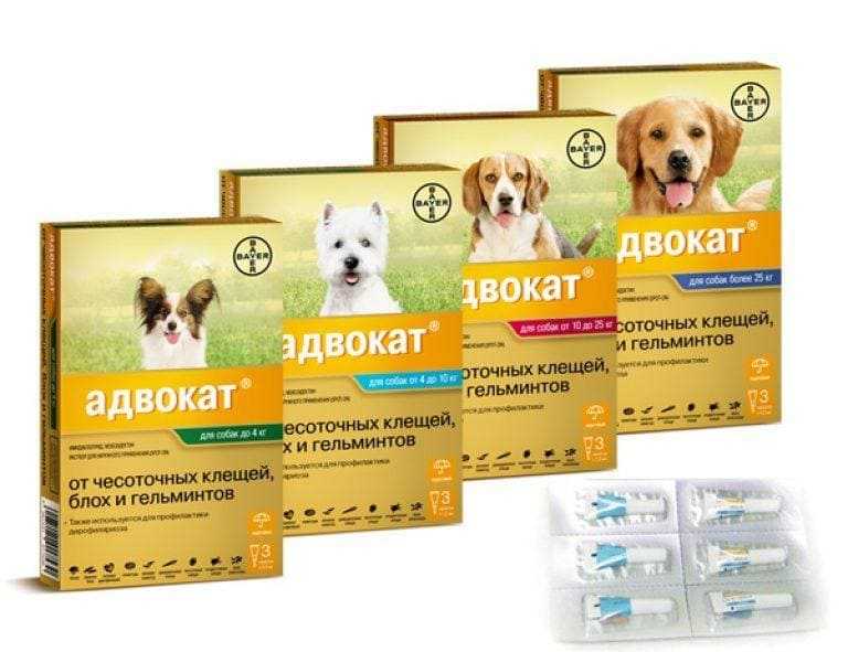 Капли для собак «адвокат»: как применять лекарство, формы выпуска, цены, отзывы - kupipet.ru