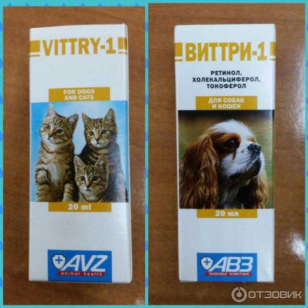 Виттри 1 для кошек: инструкция и показания к применению, отзывы, цена