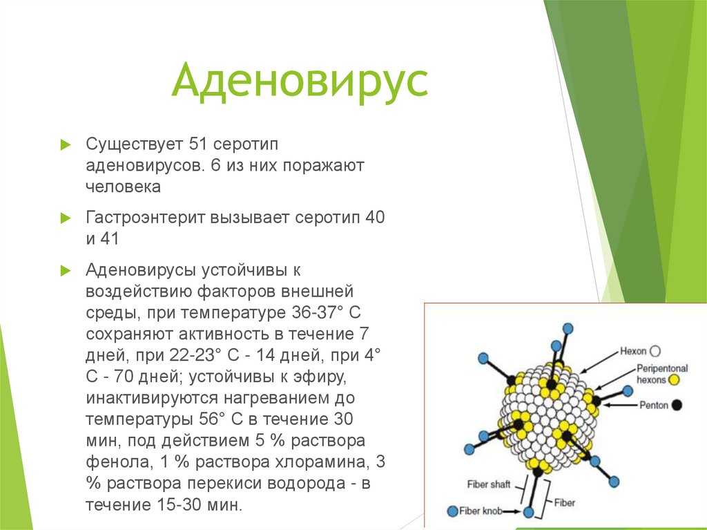 Кот не ест и не пьёт: тревожные симптомы, которые должны насторожить