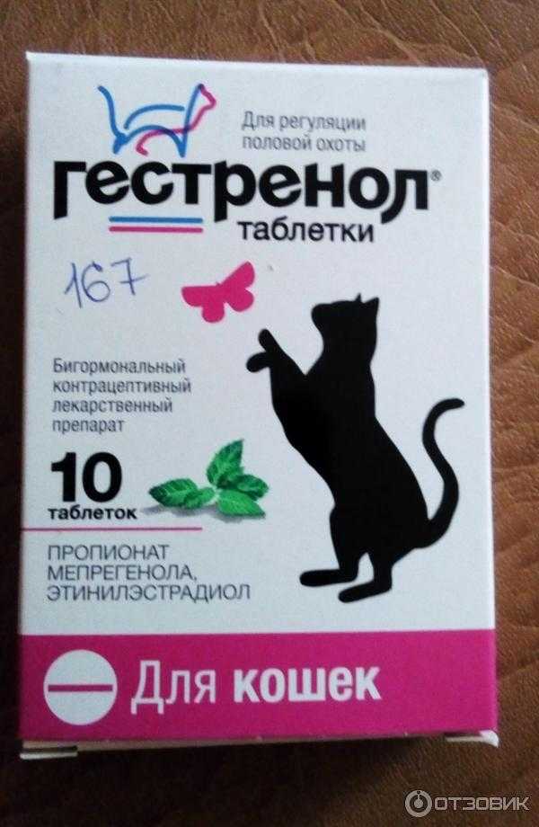 Капли для кошек гестренол применение и отзывы ветеринаров