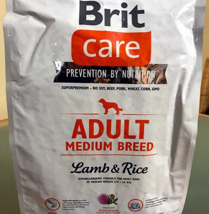 Корм брит (brit care) для кошек: состав, плюсы и минусы