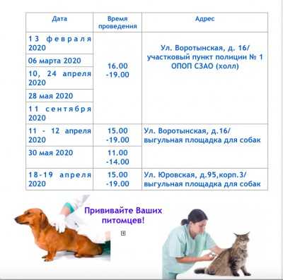 Вакцинация собак и щенков
