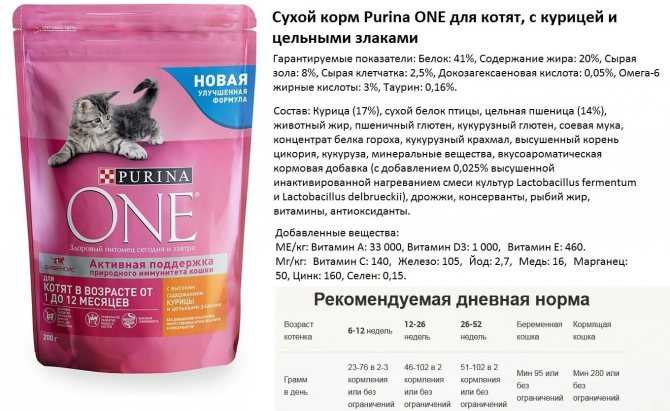 Корм пурина ван для собак ? отзывы ветеринаров и разбор состава purina one | petguru
