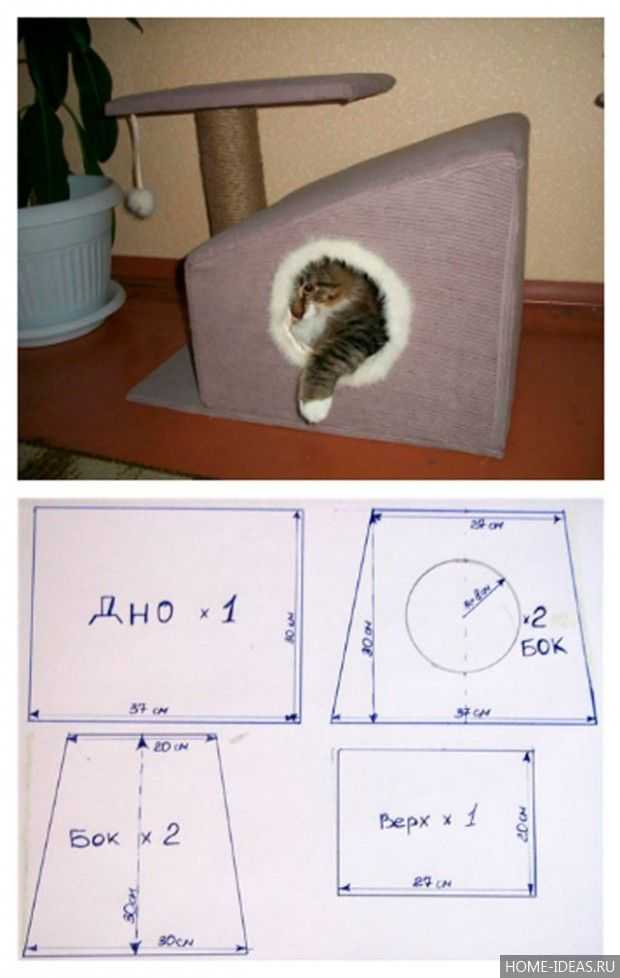 Лежанка для кошки своими руками - пошаговая инструкция изготовления из подручных материалов, виды конструкций (фото + видео)