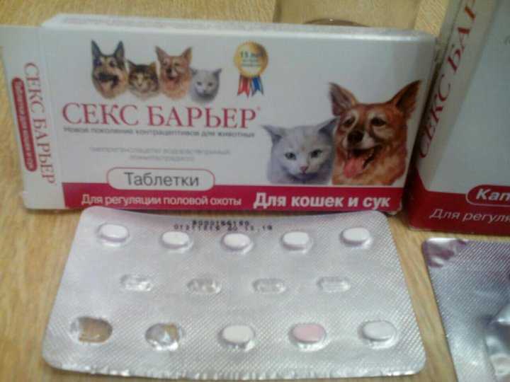 Таблетки против кошек. Таблетки сексбарьер для кошек. Контрацептивы для кошек. Таблетки антисекс для кошек. Противозачаточные таблетки для кошек.